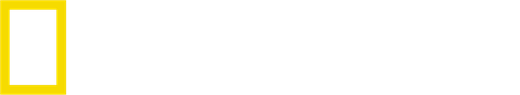 National Geographic logo
